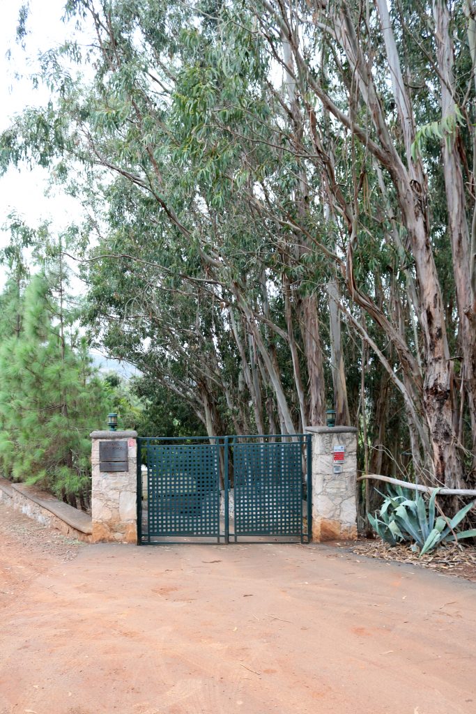 This image has an empty alt attribute; its file name is IMG_4327-683x1024.jpg